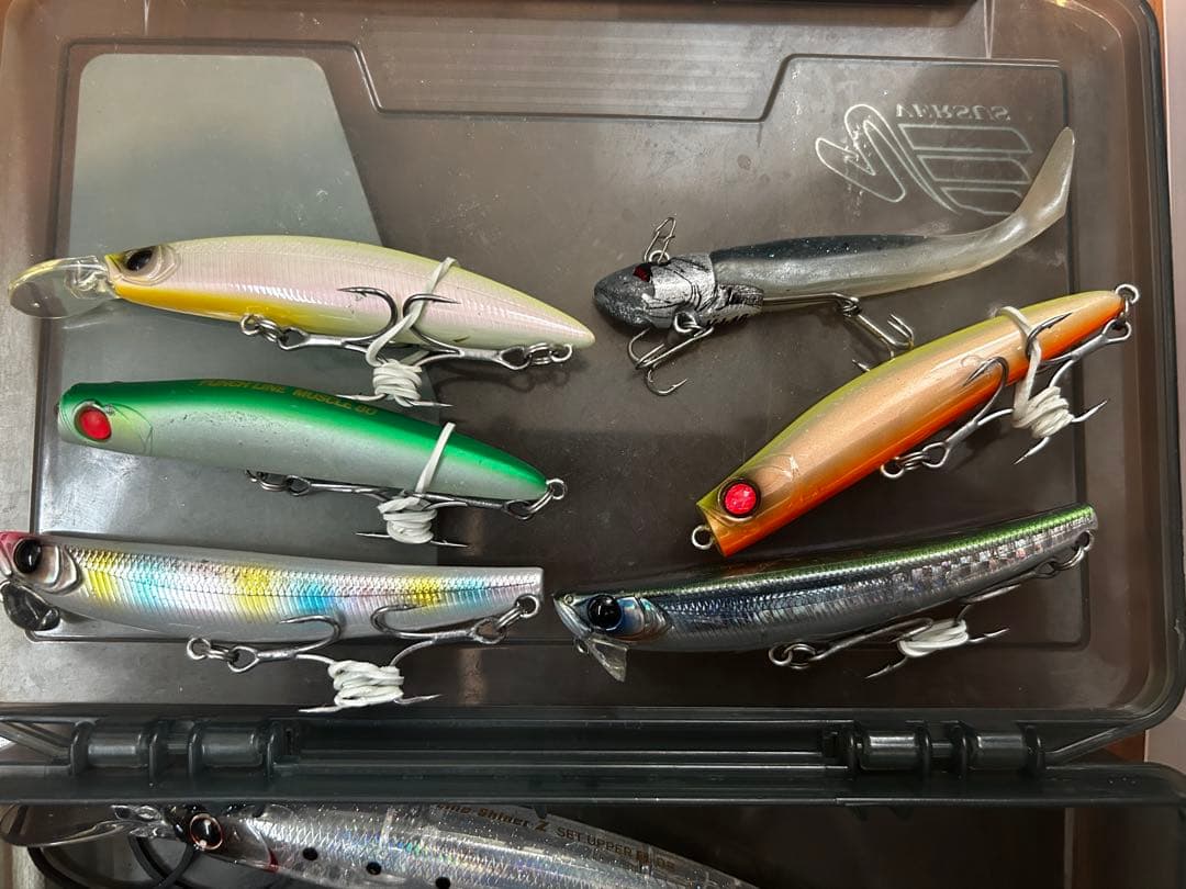 ざ*引様 【24個セット】シーバスルアー