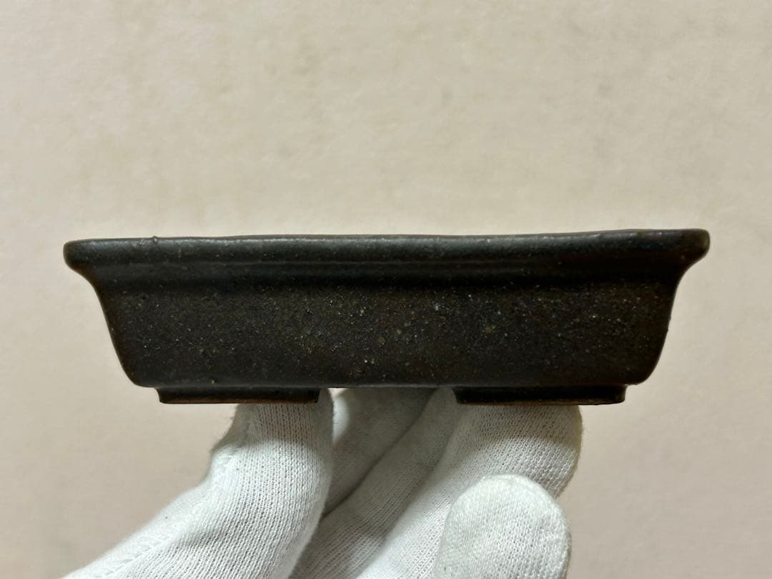 暁雲　盆栽鉢　ミニ盆栽　小品盆栽　山野草