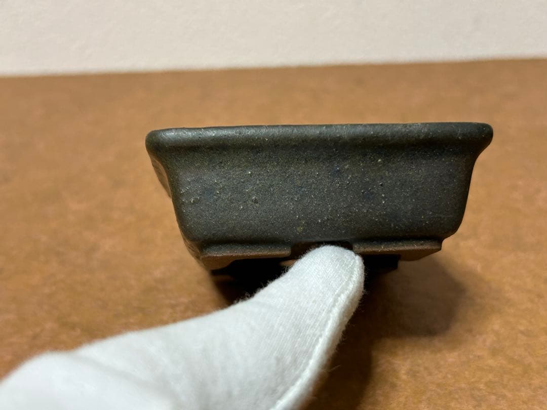 暁雲　盆栽鉢　ミニ盆栽　小品盆栽　山野草