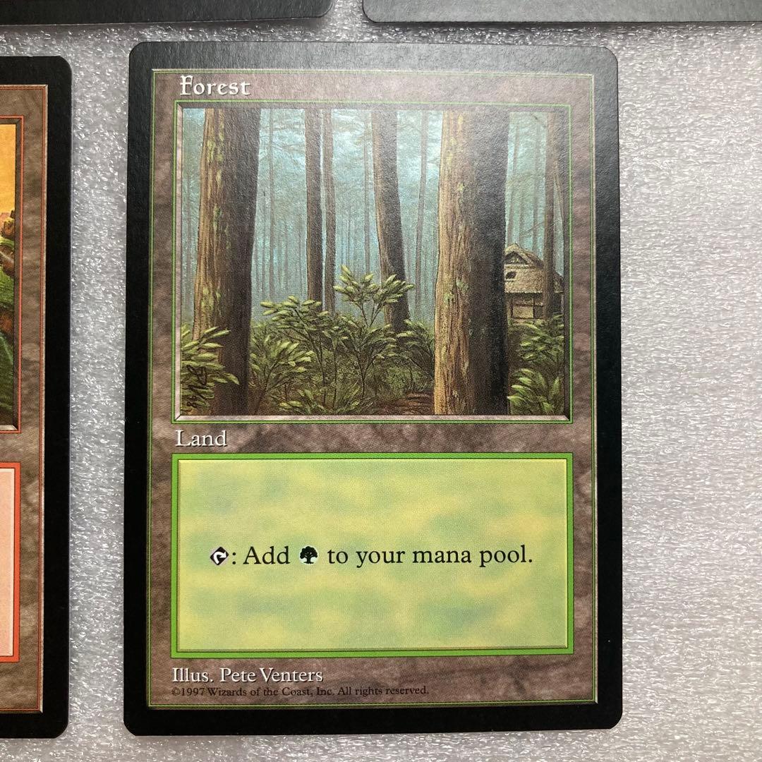 【MTG】基本土地 APAC① 5枚セット