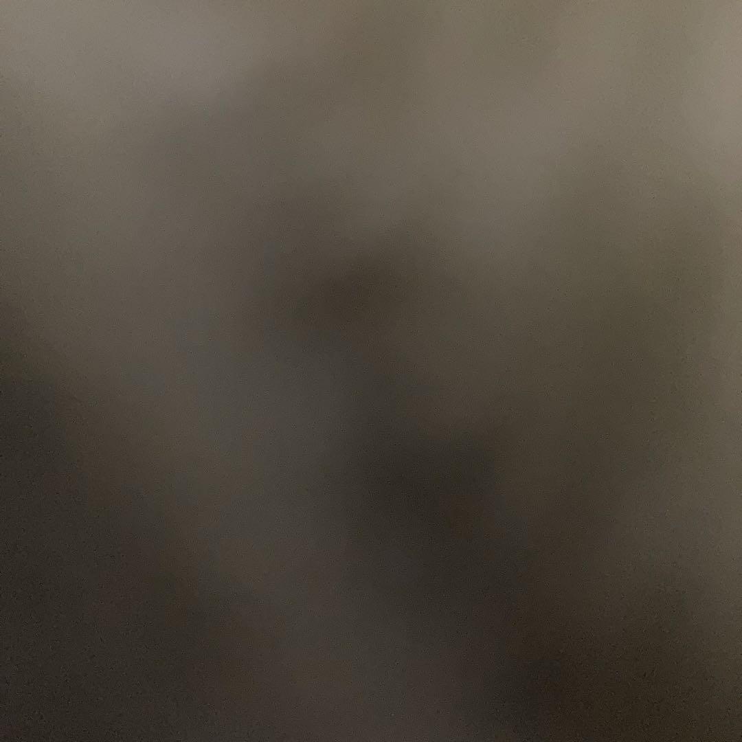 yossy67野原工芸　新型　シルバー金具　胡桃のシャープペンシル