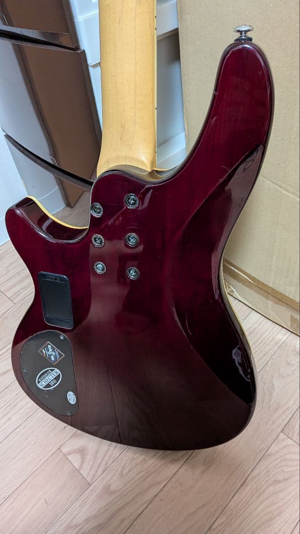 ベース Schecter Omen Extreme C-4