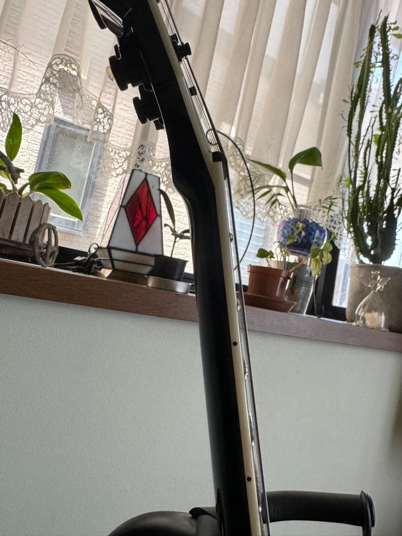 ESP VIPER おまけ付き