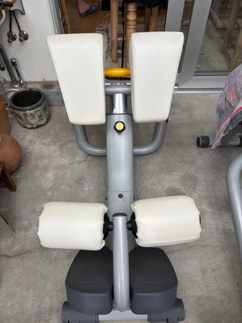 テクノジム ロー ワーバックベンチ Technogym Lower Back