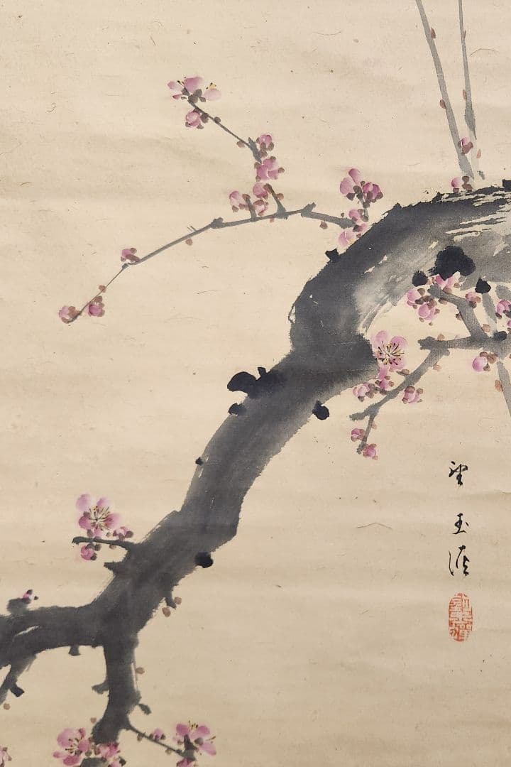 【紅梅に鴬図】望月玉渓 2616 ウグイス 望月玉成識箱　掛け軸　肉筆