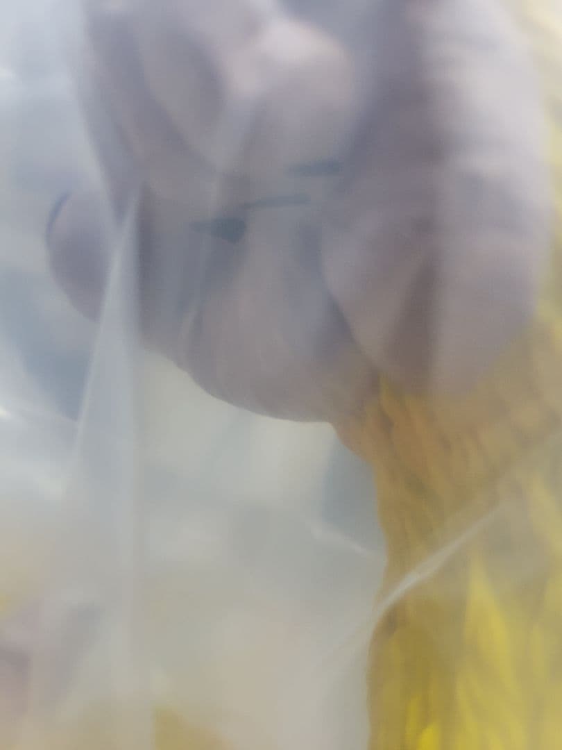 THE GREATEST SAIYAN　ラストワン　黄金大猿　ドラゴンボール