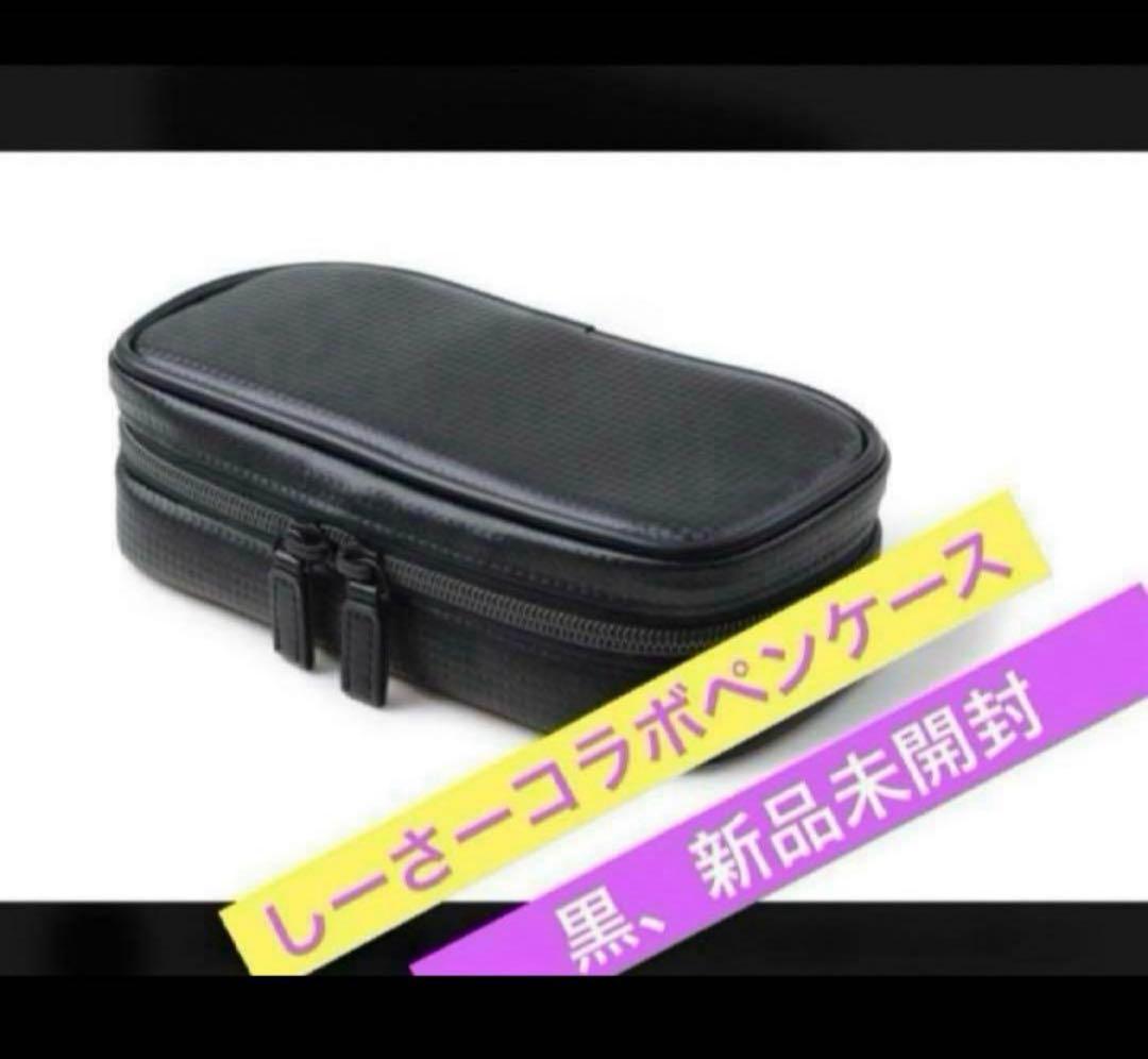 ノーマディック しーさー 【SY-01】黒 シークレットエグゼクティブペンケース