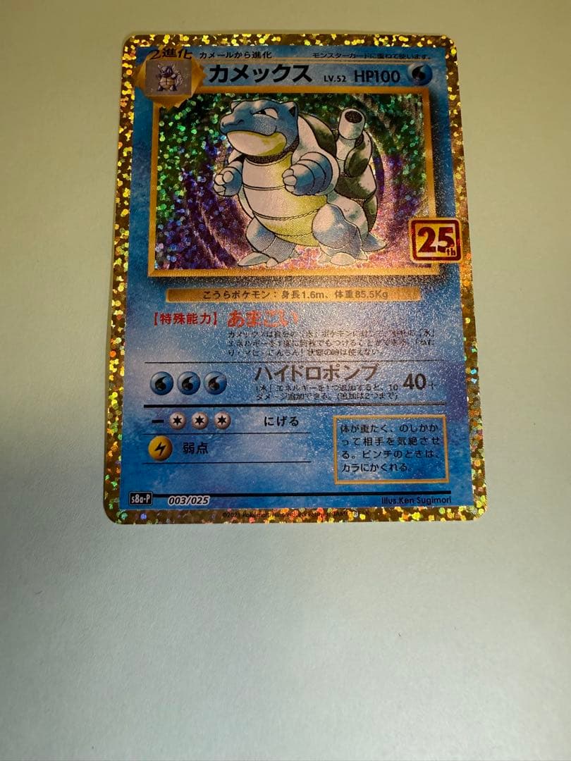 カメックス 25th