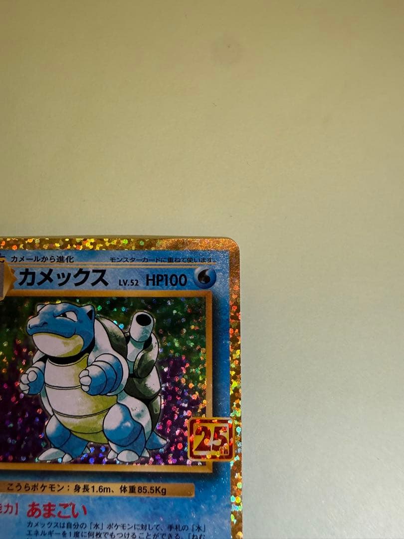 カメックス 25th