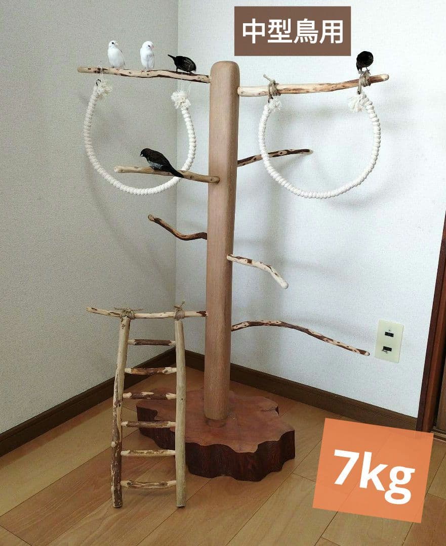 【中型鳥さん用】螺旋状♬バードアスレチック