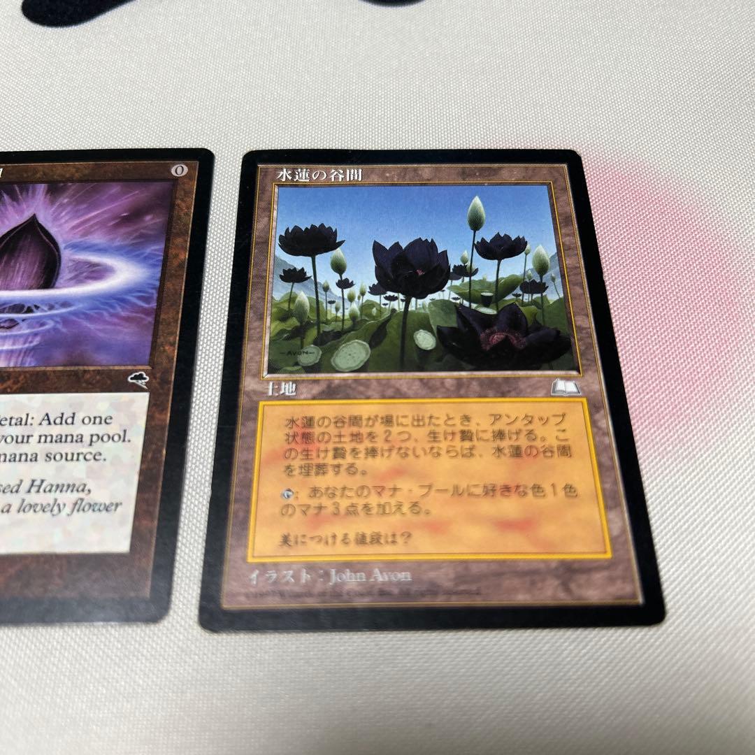 Lotus Petal（水蓮の花びら