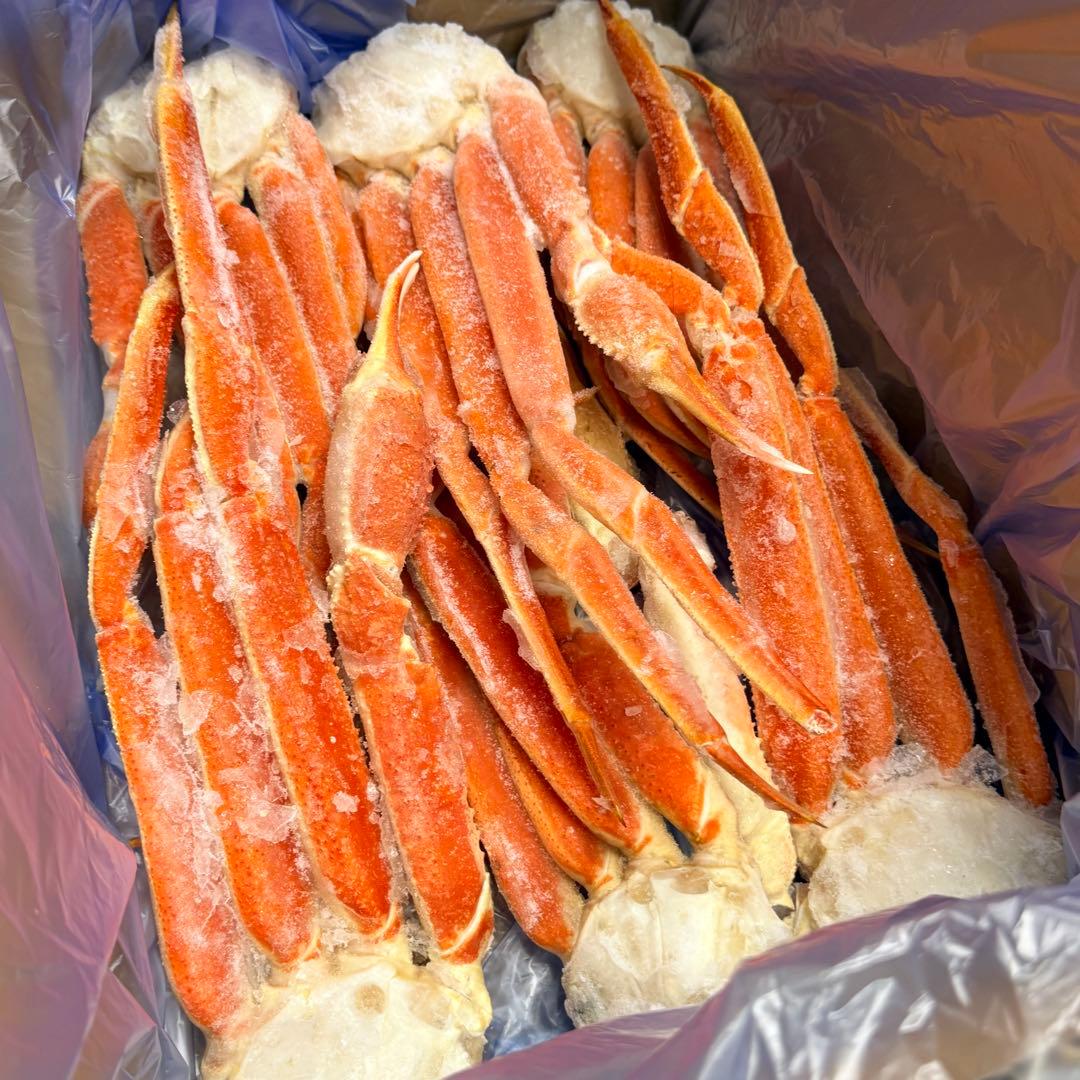 【年末分予約受付中】冷凍茹で本ズワイ蟹 カニ 1.5kg 5~7肩