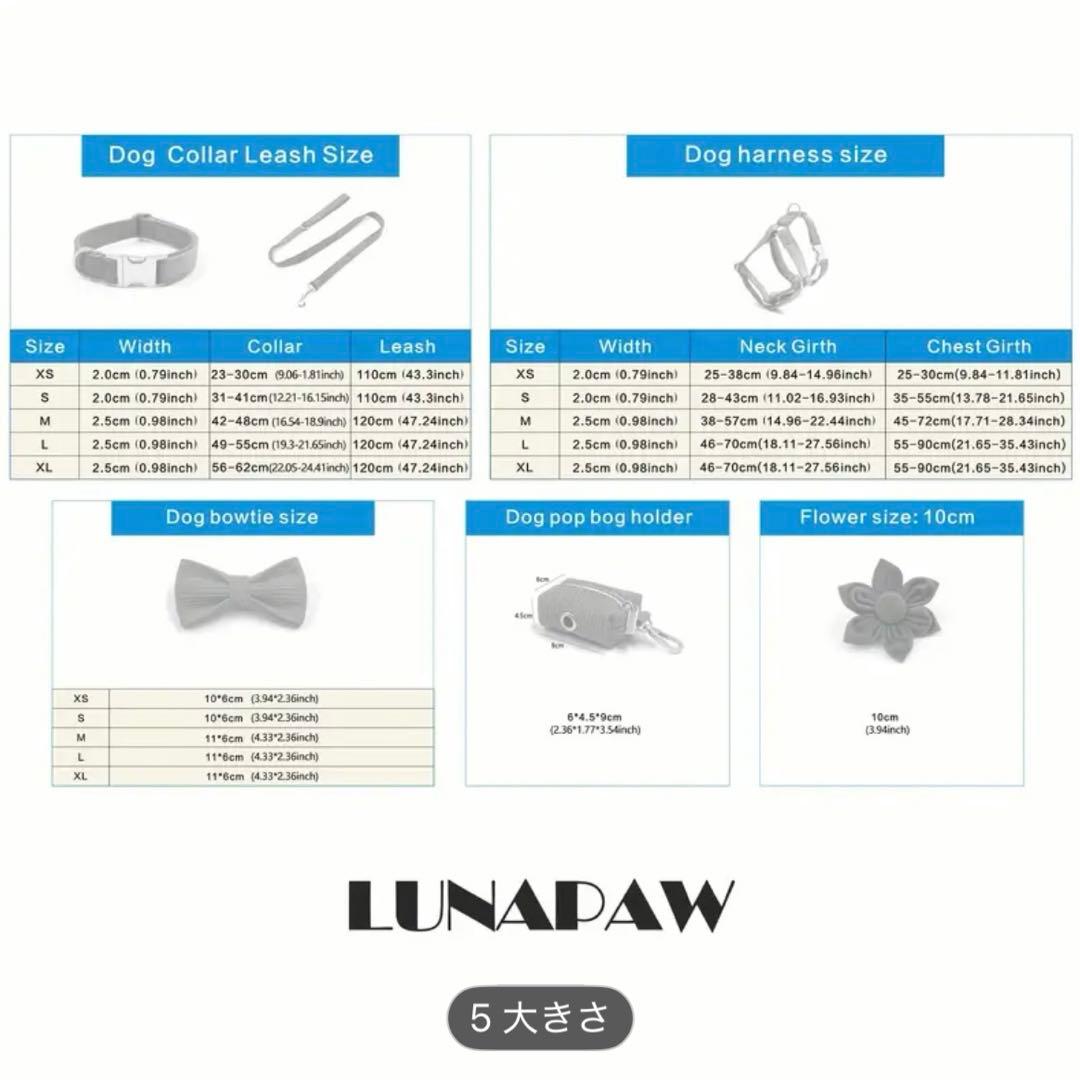 オーダー名前XSグリーン ブルー 6点セット犬 首輪リードハーネスベルベット