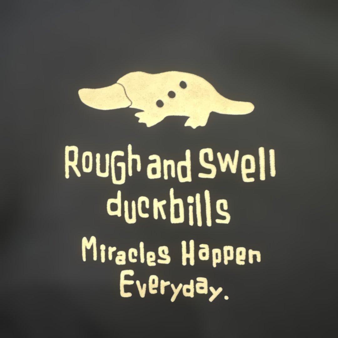 ラフアンドスウェル　rough＆swell パーカー　Ｍ