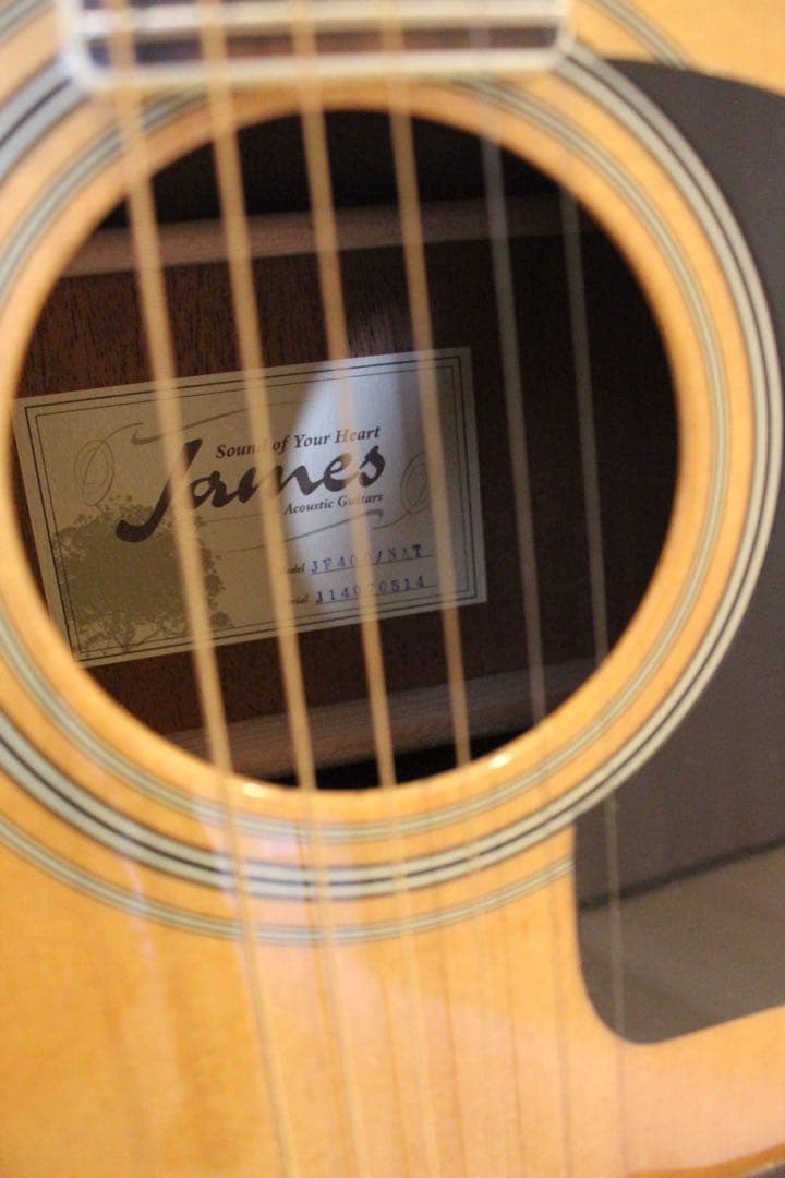 【美品】James アコースティックギター 6弦