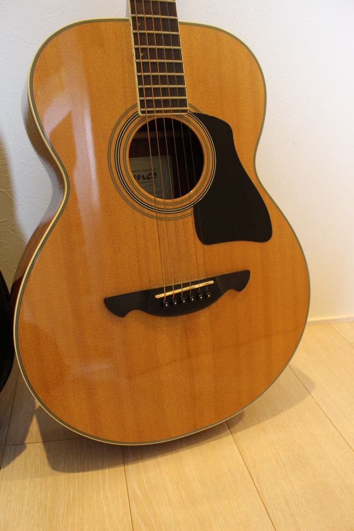 【美品】James アコースティックギター 6弦