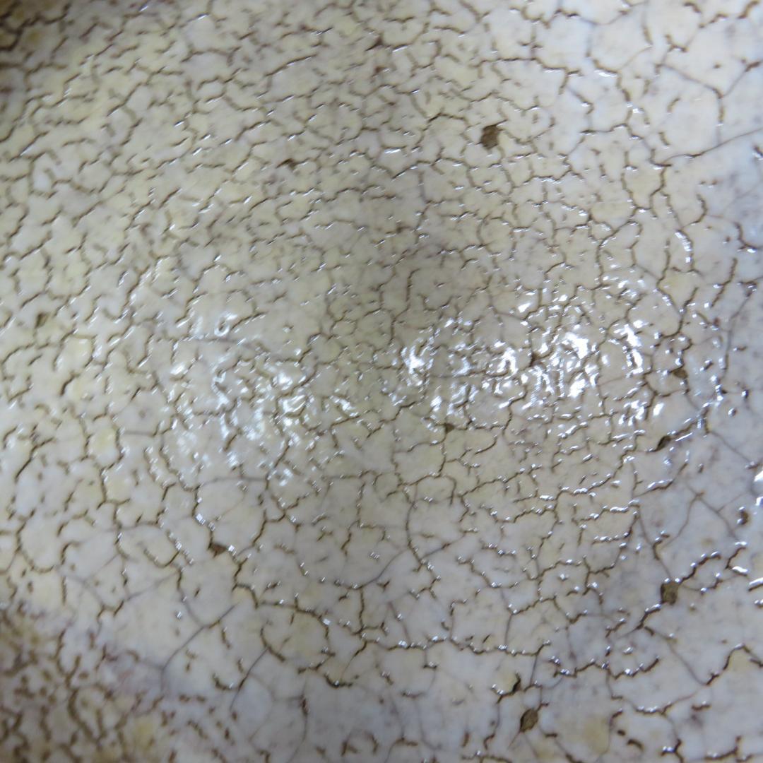 茶碗 萩焼 渡辺栄泉 美品 共箱 木箱 抹茶碗 茶道具 茶器