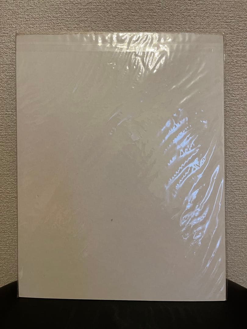 【新品】WDW ディズニー　アート　ポスター　David Doss