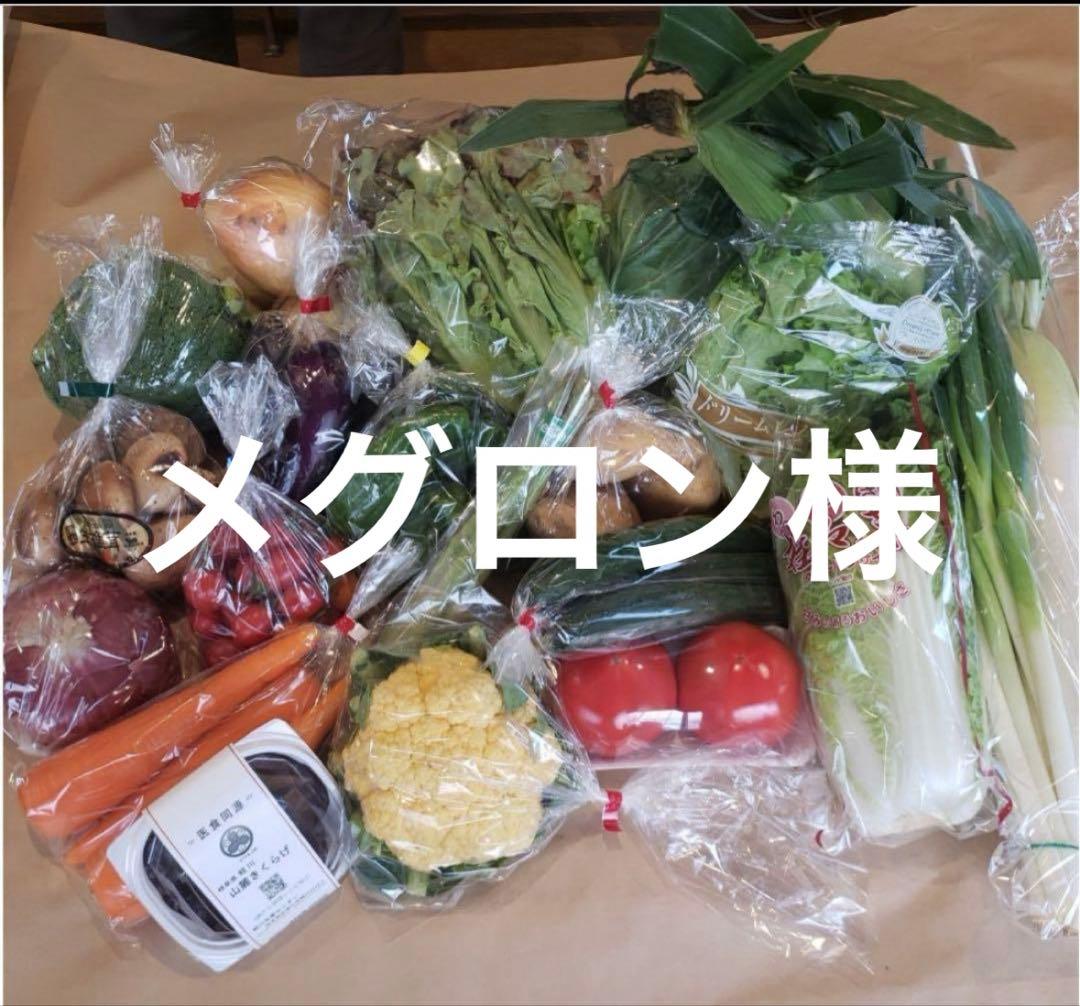 メグロン様 野菜セット特大 お米10kg 干し芋1