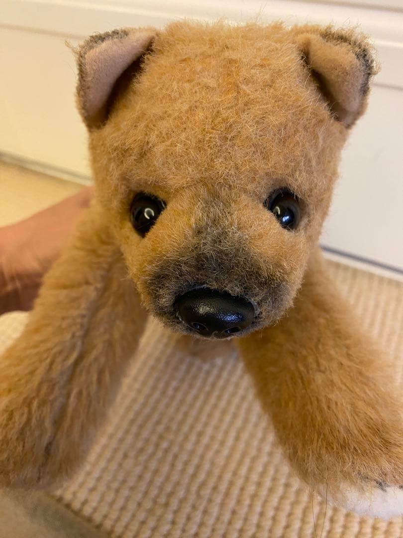 四季オリジナル　柴犬　ぬいぐるみ