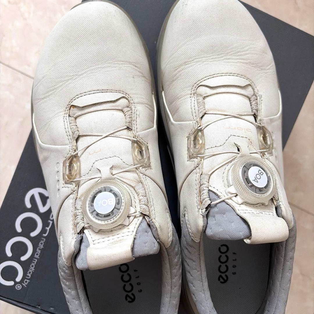 ecco エコー　ゴルフシューズ　ダイヤル式　 サイズ38（24㎝）