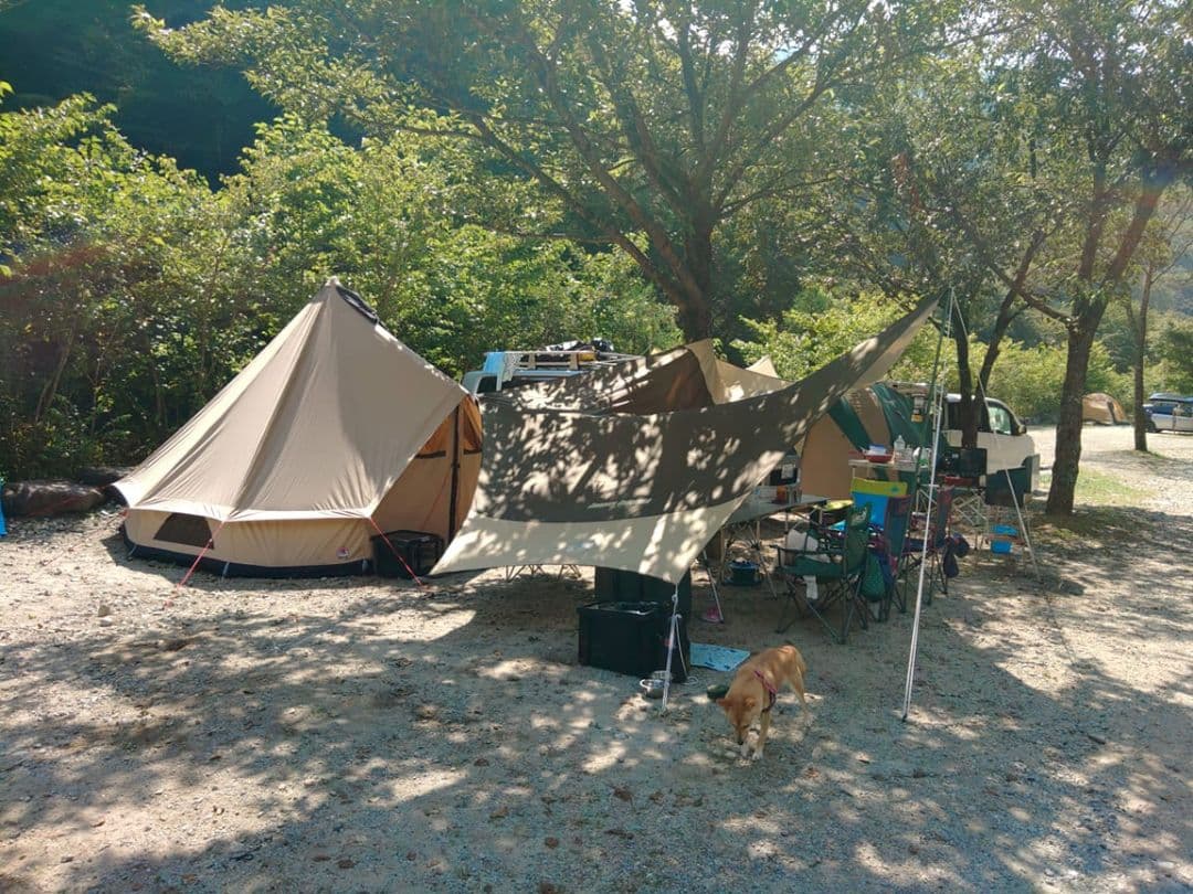 ローベンスクロンダイク