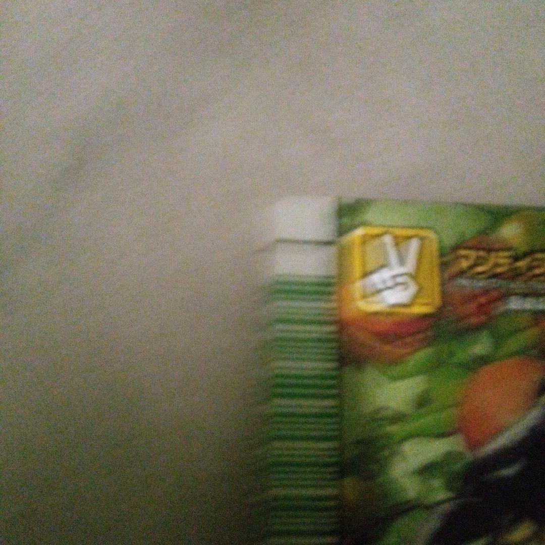 ムシキングカード マンディブラリスカブトムシ トレーディングカード