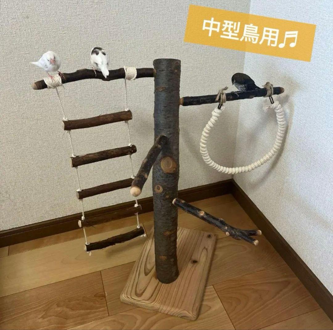 【中型鳥さん用】眺めのいい♬バードスタンド＆桜の木バードアスレチック