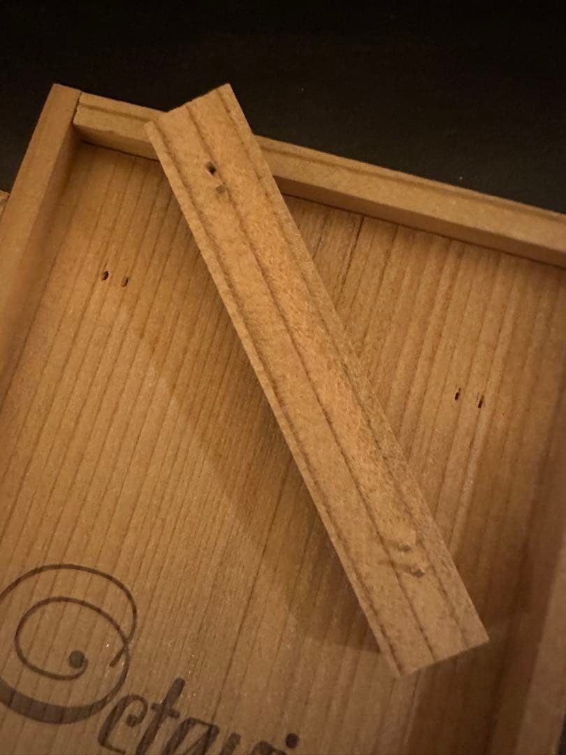 ギター CHICAGO IRON Octavian