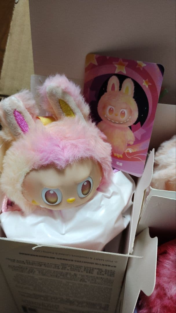 正規品・Labubu Big into Energy開封　5種セット