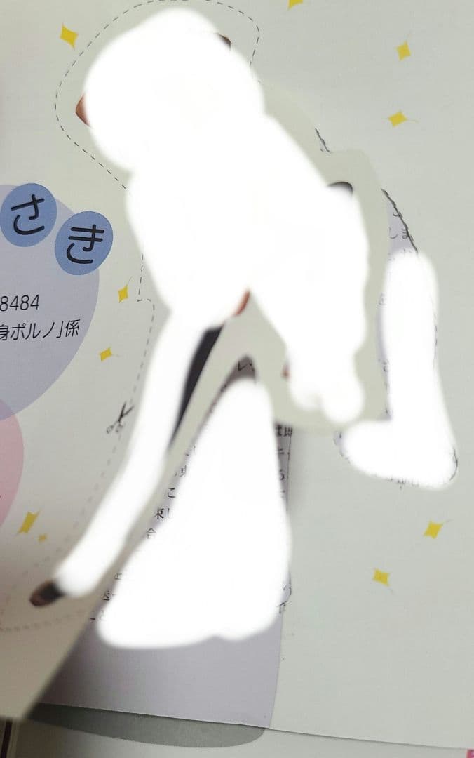 ポルノグラフィティ　会報