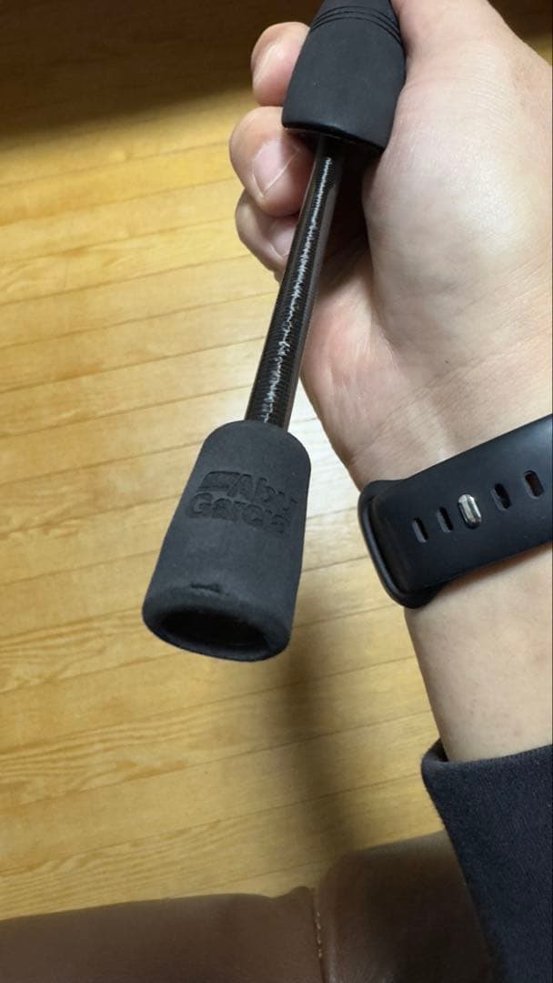 アブガルシア ソルティーステージ プロトタイプ アジング