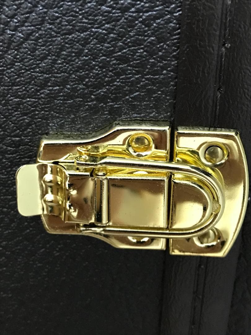 テイラー　純正ハードケース　214ceDLX　Taylor hardcase