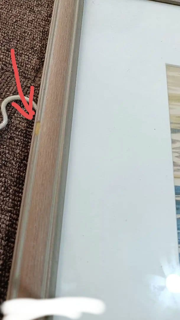 S.Okamoto カワセミハンティング 水彩画？ 版画？