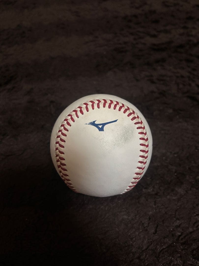 埼玉西武ライオンズ 齋藤大翔 直筆サイン入り試合球