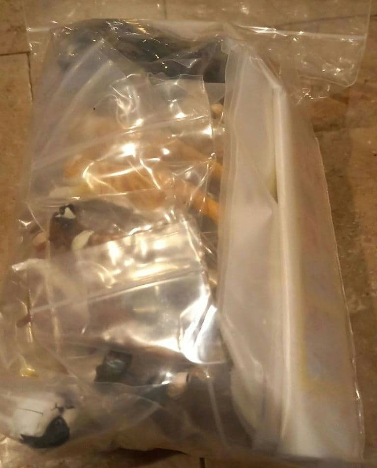 ★フルタ★チョコエッグ★ペット動物第4弾★14種28点★