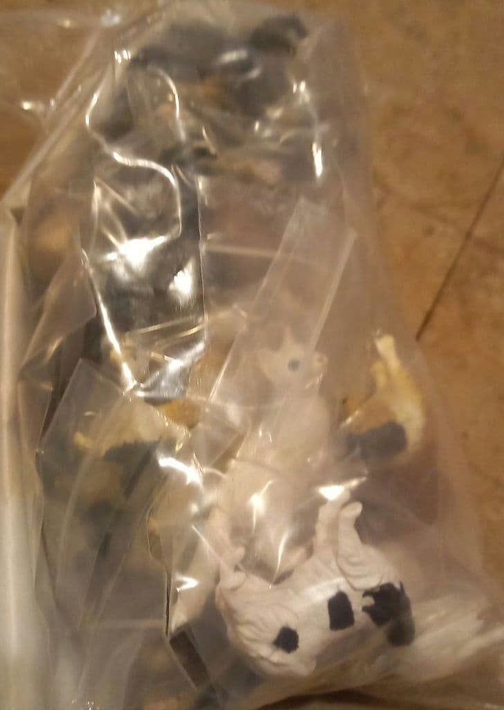 ★フルタ★チョコエッグ★ペット動物第4弾★14種28点★