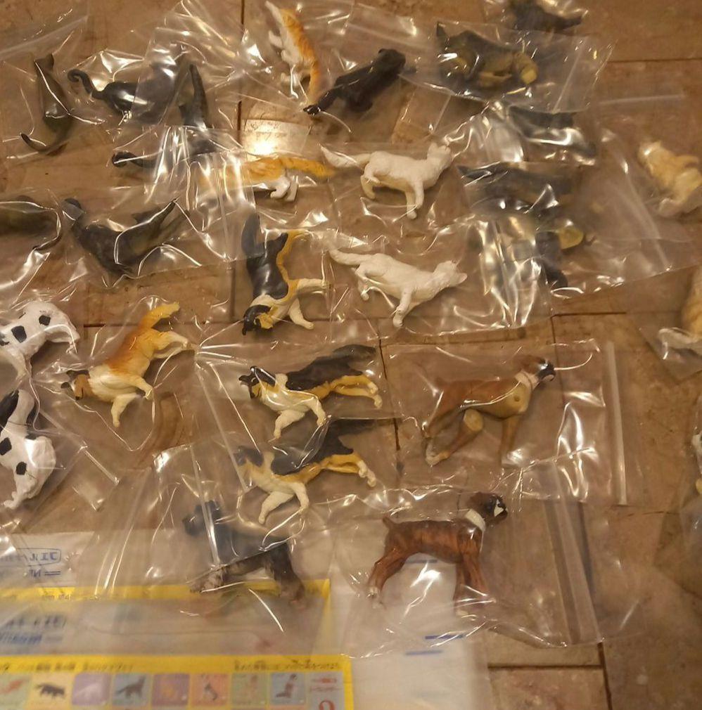 ★フルタ★チョコエッグ★ペット動物第4弾★14種28点★