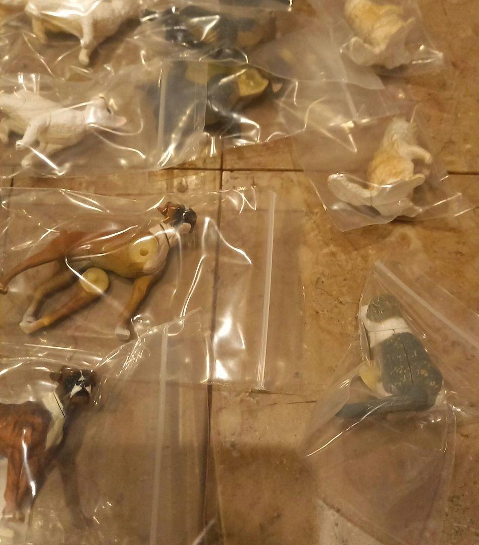 ★フルタ★チョコエッグ★ペット動物第4弾★14種28点★