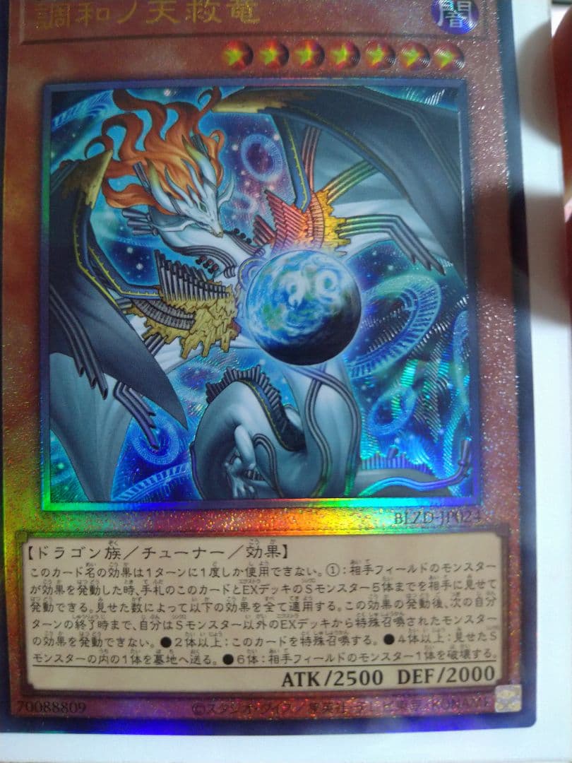 調和ノ天救竜　レリーフ2枚