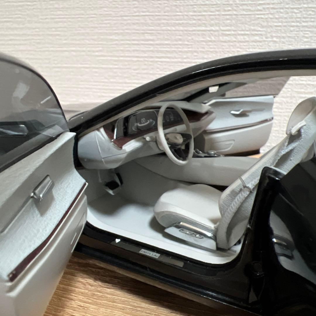 ※内容確認必須！※⭐️希少⭐️キャデラック コンセプトカー　1/18ブラック