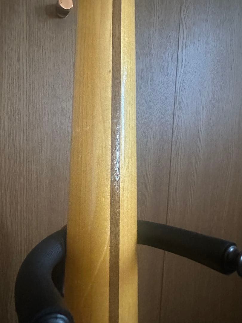 ギター navigator N-TE ASM