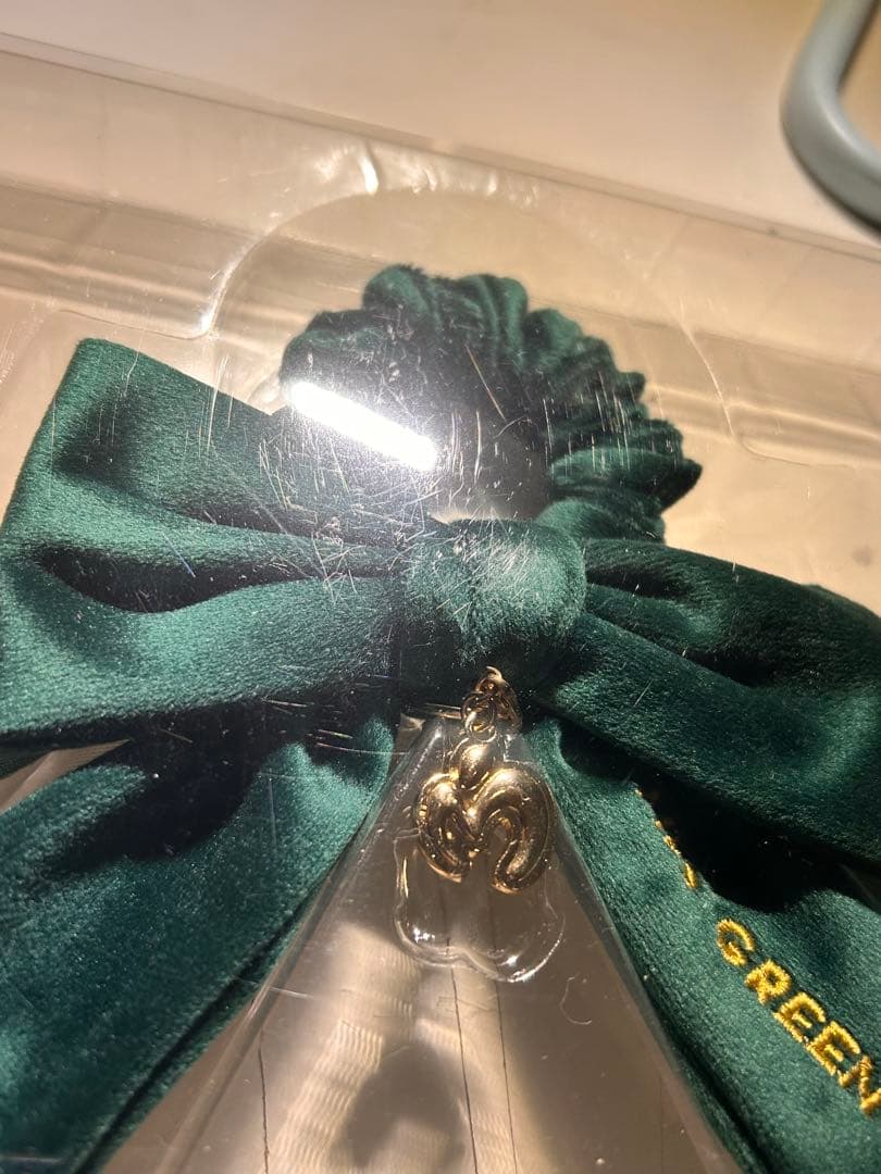 R*I様 Mrs. GREEN APPLE ミセス ライトスティックリボン 緑