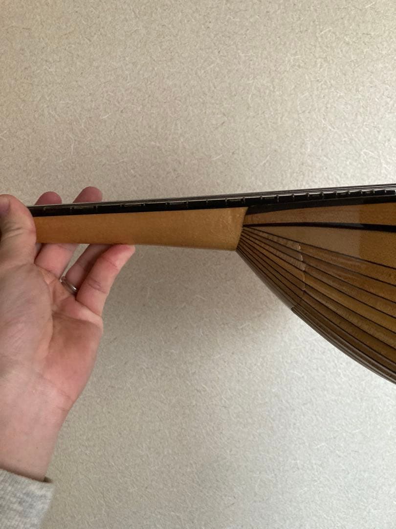 サウンドエナ　マンドリン　M-160