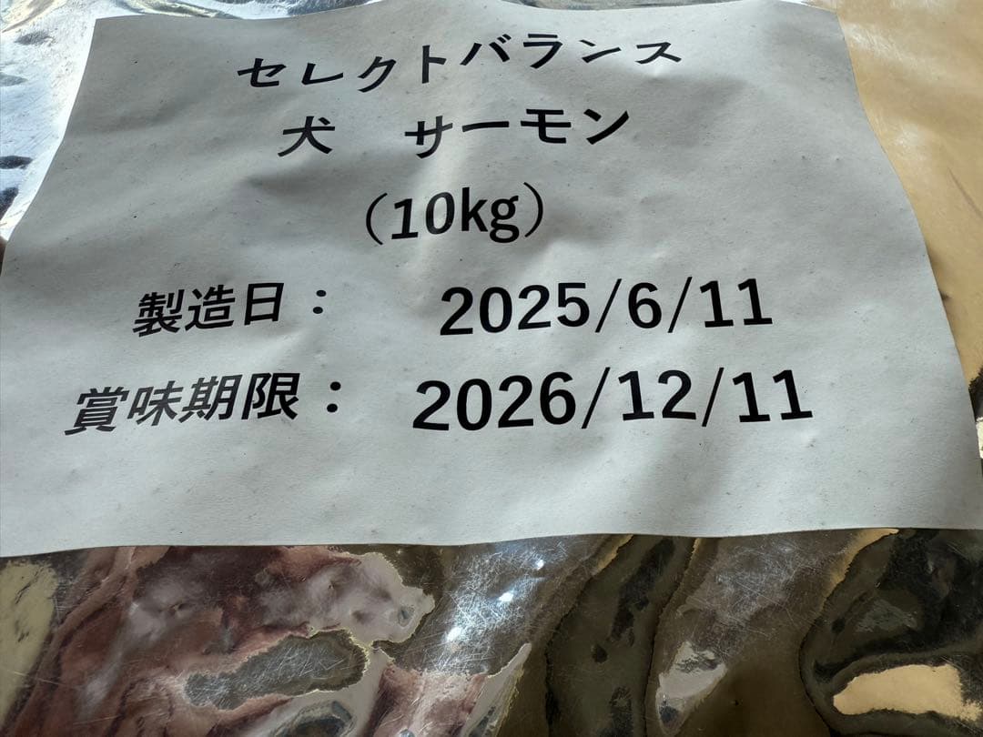 GFサ10◯●ととろページ●◯