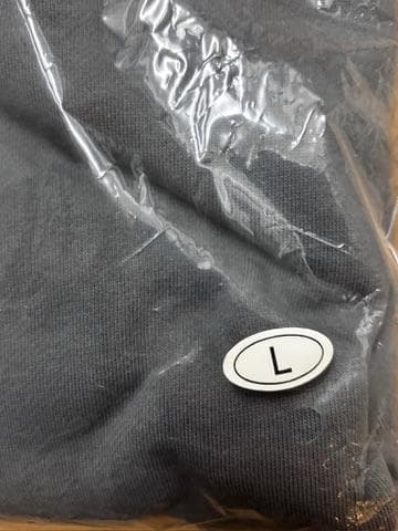 TWICE MISAMO 2024 HAUTE COUTURE パーカー L