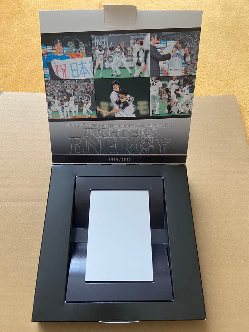 BBM 北海道日本ハムファイターズ　ベースボールカードセット2009