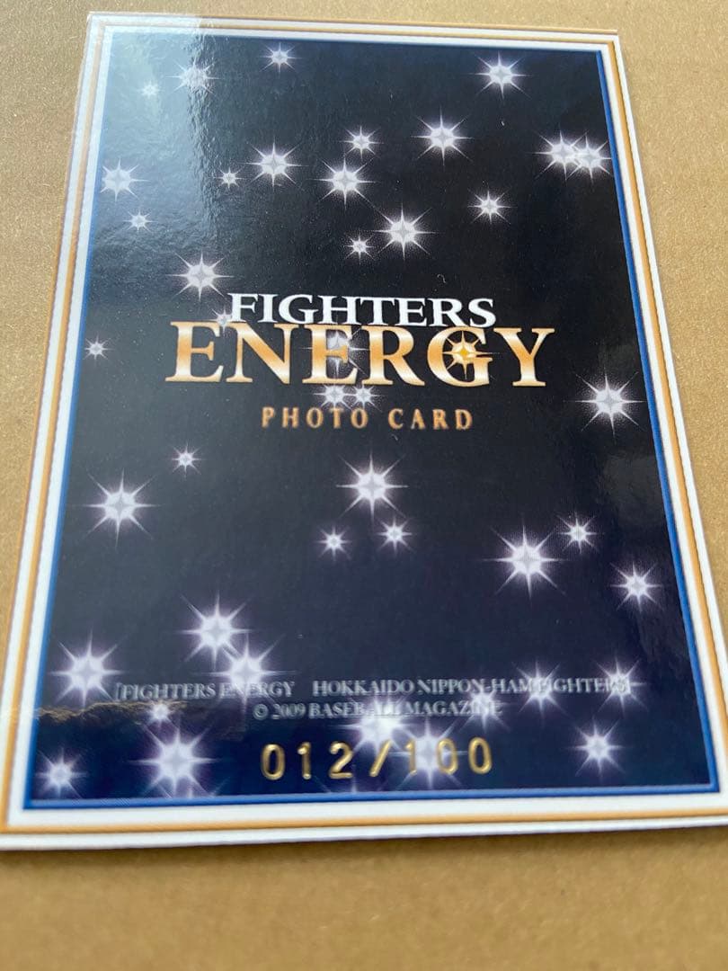 BBM 北海道日本ハムファイターズ　ベースボールカードセット2009