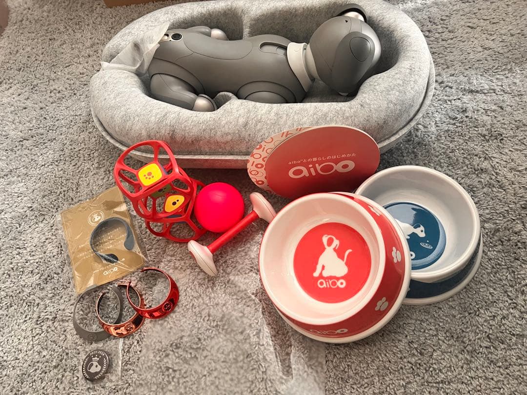 黒ごまエディション　SONY aibo ERS-1000 本体