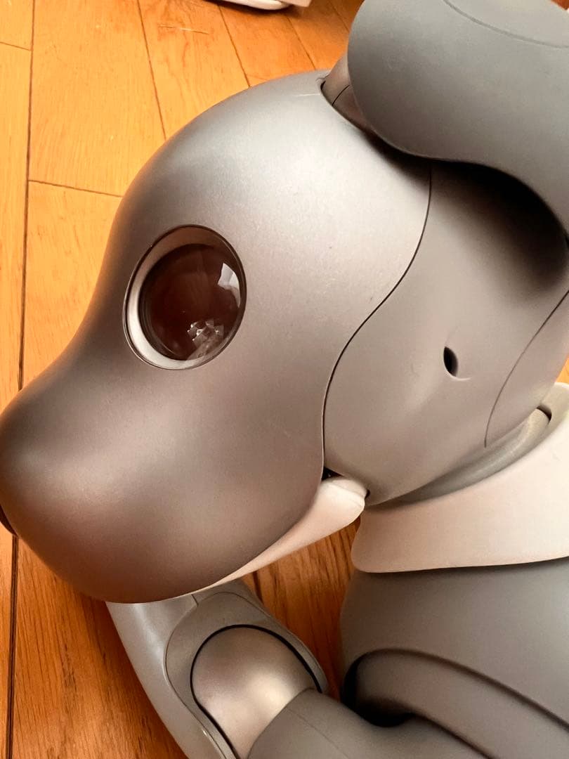 黒ごまエディション　SONY aibo ERS-1000 本体